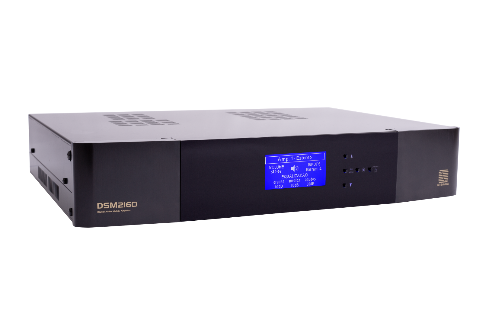 DSM2160 perfil reduz